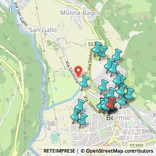Mappa Via Per Premadio, 23032 Bormio SO, Italia (0.55185)