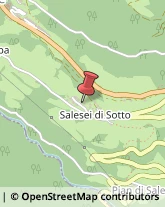 Località Salesei di Sotto, 80/A,32020Livinallongo del Col di Lana