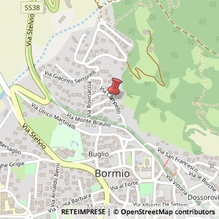 Mappa Via Monte Nero, 5, 23032 Bormio, Sondrio (Lombardia)