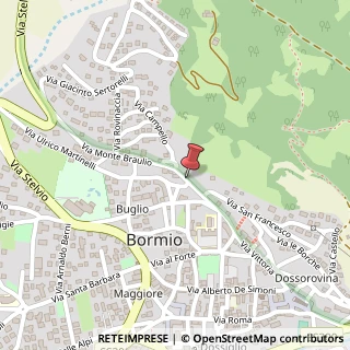 Mappa Via Monte Braulio, 22, 23032 Bormio, Sondrio (Lombardia)