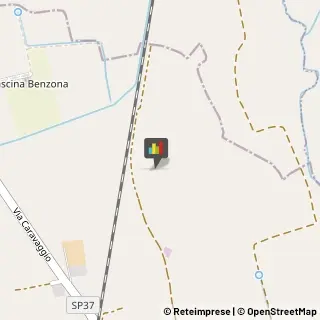 Animali Domestici - Vendita,26010Cremona