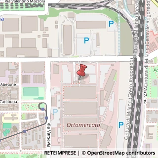 Mappa Via Cesare Lombroso, 54, 20137 Milano, Milano (Lombardia)