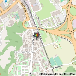 Consulenza Informatica,10015Torino