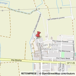 Mappa Via IV Novembre, 8, 28060 San Pietro Mosezzo, Novara (Piemonte)
