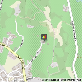 Locali, Birrerie e Pub Gambellara,36053Vicenza