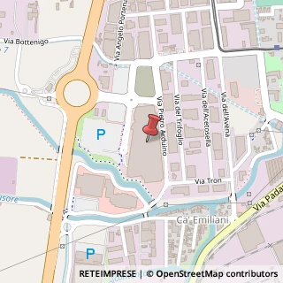 Mappa Strada Statale 309 Romea, 29, 30175 Badia Polesine, Rovigo (Veneto)