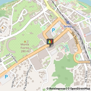 Consulenza Informatica,10015Torino