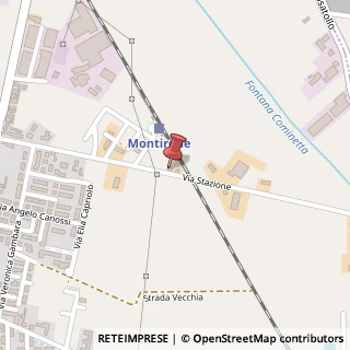 Mappa Via Stazione, 11, 25010 Montirone, Brescia (Lombardia)