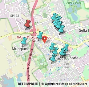 Mappa Via delle Betulle, 20152 Milano MI, Italia (0.8325)