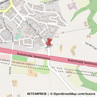 Mappa Via Marziale Cerutti, 88, 25017 Lonato del Garda, Brescia (Lombardia)