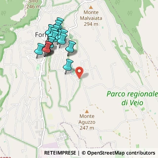 Mappa Via Di Monte Aguzzo, 00060 Formello RM, Italia (1.1605)