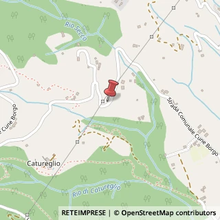 Mappa Localita' Catureglio, 2, 55023 Borgo a Mozzano, Lucca (Toscana)