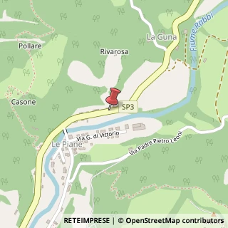 Mappa Via Piane, 19, 47010 Premilcuore, Forlì-Cesena (Emilia Romagna)