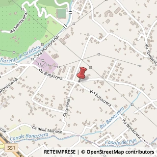 Mappa Via Bonazzera,  2, 55045 Pietrasanta, Lucca (Toscana)