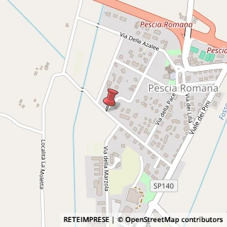 Mappa Via dei Tigli, 18, 01014 Montalto di Castro, Viterbo (Lazio)