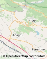 Avvocati Acuto,03012Frosinone