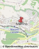 Via Cola di Rienzo, 4,00047Marino