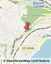 Viale Bruno Buozzi, 66/68,00073Castel Gandolfo