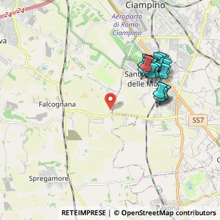Mappa Via della Falcognana, 00134 Roma RM, Italia (2.1005)