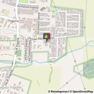 Motori Diesel e Componenti Pomezia,00128Roma