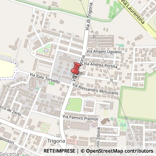 Mappa 88 Via Di Trigoria, Roma, RM 00128, 00128 Roma RM, Italia, 00128 Roma, Roma (Lazio)