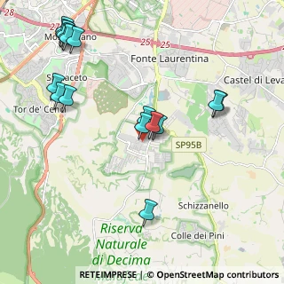 Mappa Via Italo Torsiello, 00128 Selcetta RM, Italia (2.55125)