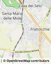 Viale della Repubblica, 56,00047Marino