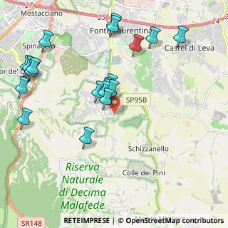 Mappa Via Gian Pietro Talamini, 00128 Selcetta RM, Italia (2.4)