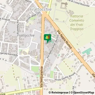 Via Nettunense, 33,00073Castel Gandolfo