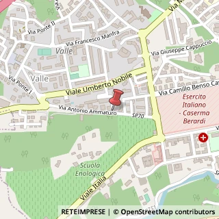 Mappa Via ammaturo 124, 83100 Avellino, Avellino (Campania)
