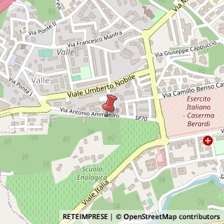 Mappa Via Antonio Ammaturo, 100, 83100 Avellino, Avellino (Campania)