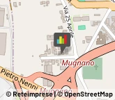 Alimenti Dietetici - Dettaglio,80017Napoli