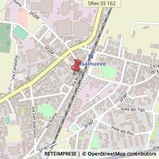 Mappa Via Roma, 202, 80013 Casalnuovo di Napoli, Napoli (Campania)