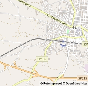 Mappa Strada Sammichele, 70010 Turi BA, Italia (0.26923)