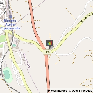 Palestre e Centri Fitness,85028Potenza