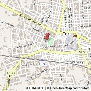 Mappa Via Alessandro Manzoni, 11, 70010 Turi, Bari (Puglia)