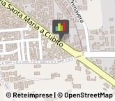 Alimenti Dietetici - Dettaglio Qualiano,80019Napoli