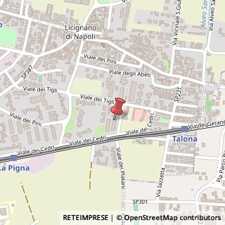 Mappa Viale dei Platani, 2, 80013 Casalnuovo di Napoli NA, Italia, 80013 Casalnuovo di Napoli, Napoli (Campania)