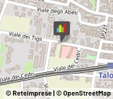 Geometri Casalnuovo di Napoli,80013Napoli