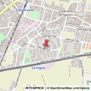 Mappa Viale dei Pini, 21, 80013 Casalnuovo di Napoli, Napoli (Campania)