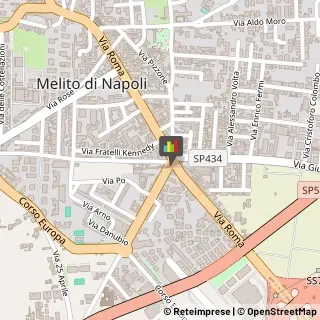 Piante e Fiori - Dettaglio Melito di Napoli,80017Napoli
