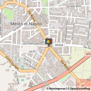Piante e Fiori - Dettaglio Melito di Napoli,80017Napoli