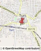 Via Dogali, 13,70010Turi