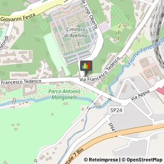 Piante e Fiori - Dettaglio Avellino,83100Avellino