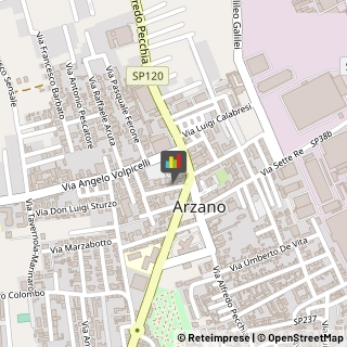 Piante e Fiori - Ingrosso Arzano,80022Napoli