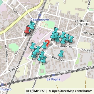 Mappa Via Pigna, 80013 Casalnuovo di Napoli NA, Italia (0.20192)