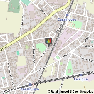 Feste - Organizzazione e Servizi,80013Napoli