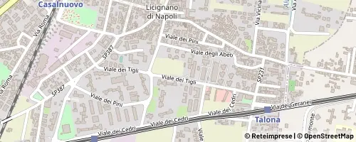 Mappa Casalnuovo di Napoli
