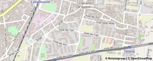 Mappa Casalnuovo di Napoli