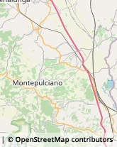 Ortofrutticoltura Montepulciano,53045Siena